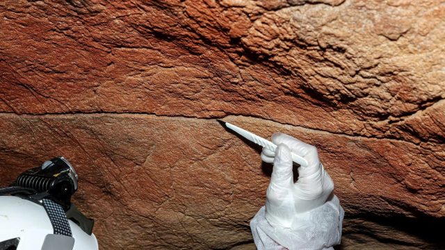 Ancient DNA Discovery Challenges Perceptions of Human History