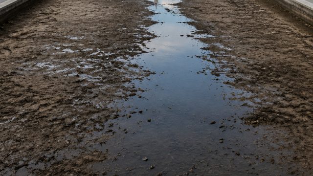 Reflecting Pool Drainage Sparks Debate Amid Blame and Mismanagement
