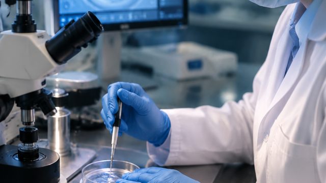 The Future of Embryo Editing: Implications for Genetic Disorder Advocacy | togel cam, mpokicl, matah