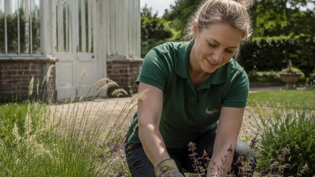 New Opportunities in Conservation: Join the Gardens Trust Team | wahana99 org, qqstarvegas link alte